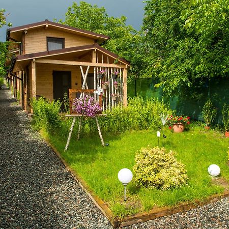 Zenyt Home Turda Luaran gambar